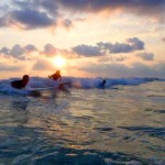 Young Vision Surf School in Montezuma Costa Rica