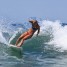 Jobbie’s Surf Retreat